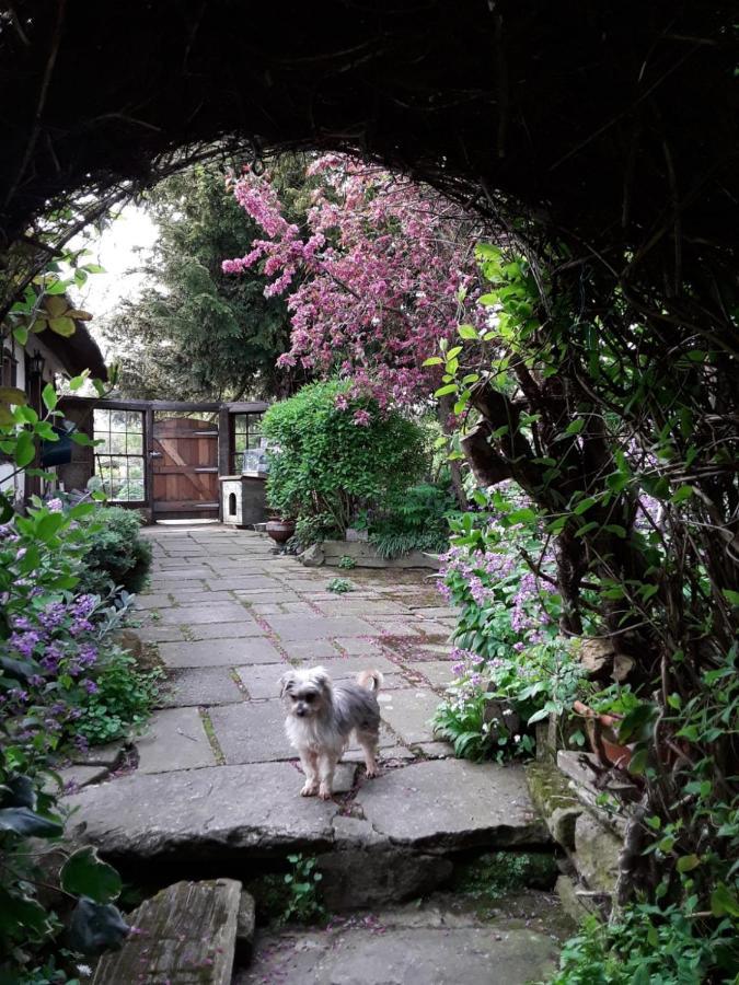 Parrs Cottage Wollaston  Exterior foto